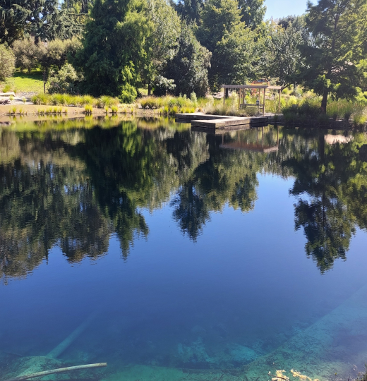 Reflect pond