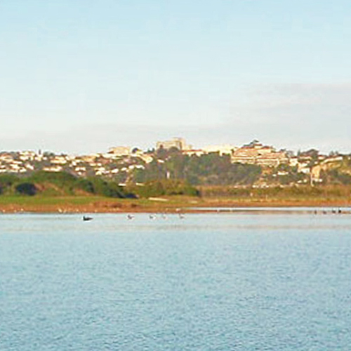 https://parklink.co.nz/wp-content/uploads/2024/08/parklink-napier-wild-life-reserve-feature.jpg